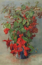 Fuchsia et muflier dans un vase